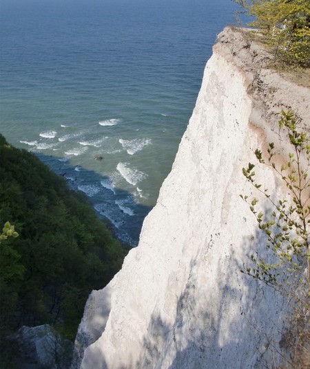 Kreidefelsen Jasmund Rügen