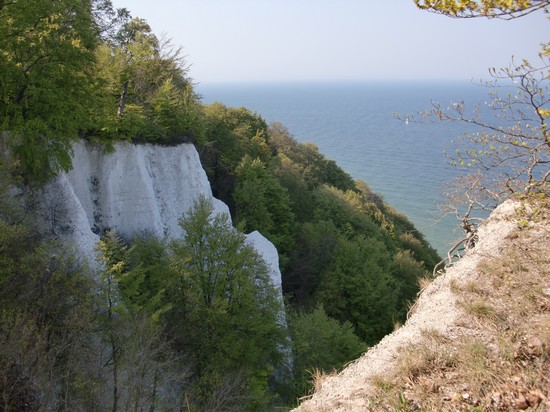 Kreidefelsen auf Rügen am Königsstuhl