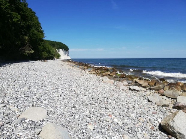 Kreidefelsen auf Rügen